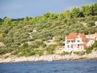 Pogled na apartma Tranquillo iz morja - apartma Tranquillo ob morju, Hrvaška